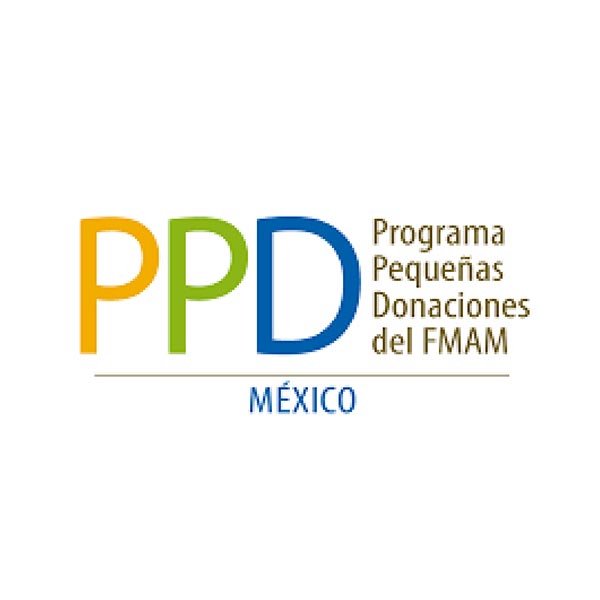 JJ Eventos Cliente - PPD México